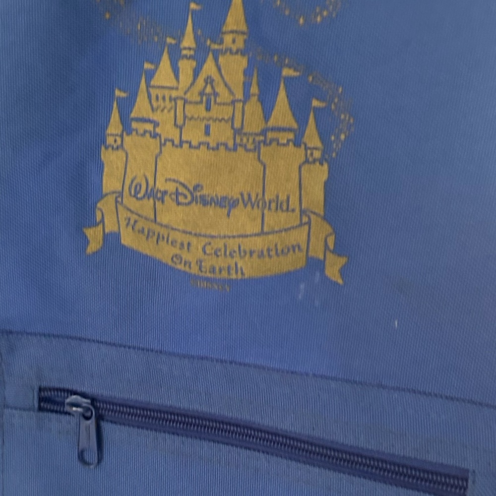 Beach bag with insulated space at the bottom for Disney fans